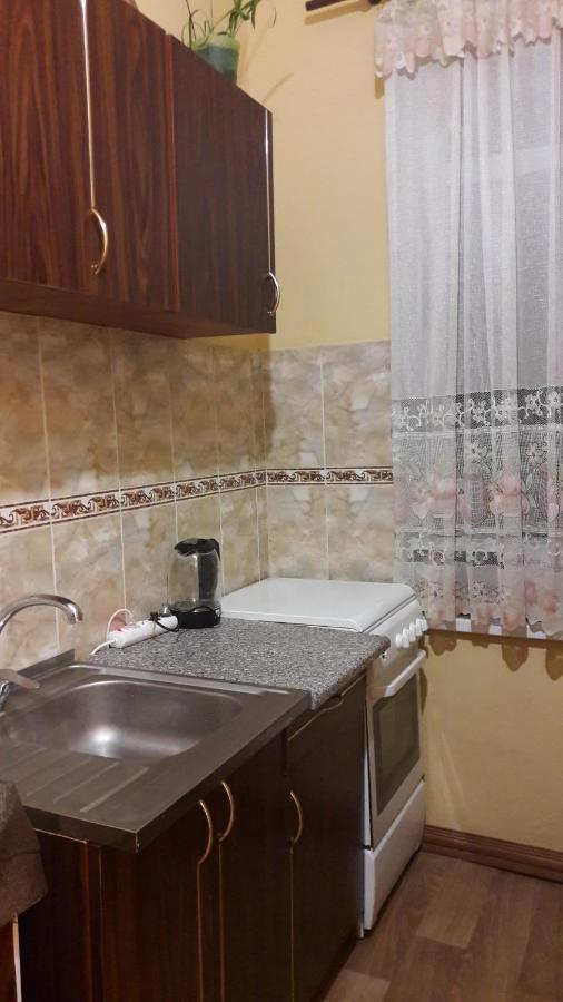 Apartment Pylnykarska 8А Lviv Kültér fotó