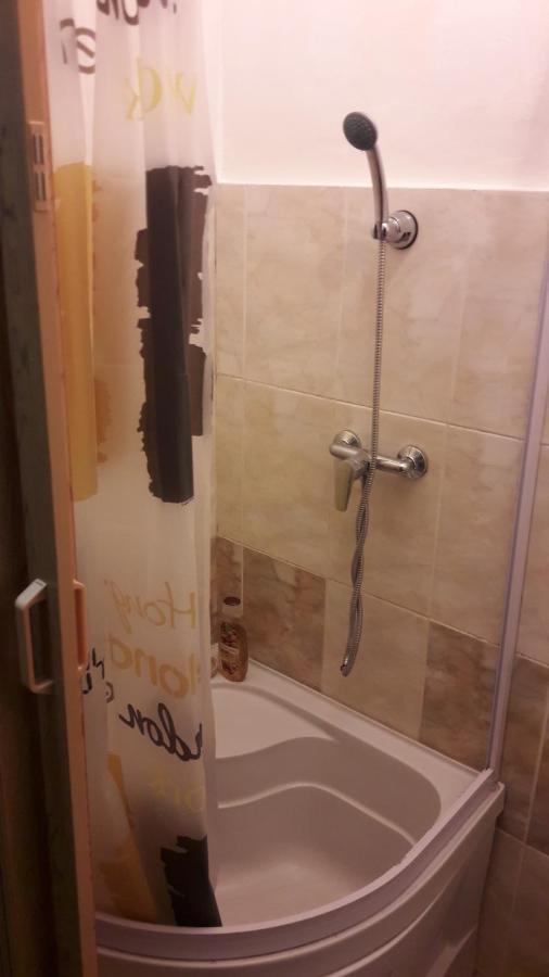 Apartment Pylnykarska 8А Lviv Kültér fotó